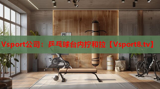 Vsport公司：乒乓球臺(tái)內(nèi)擰和拉