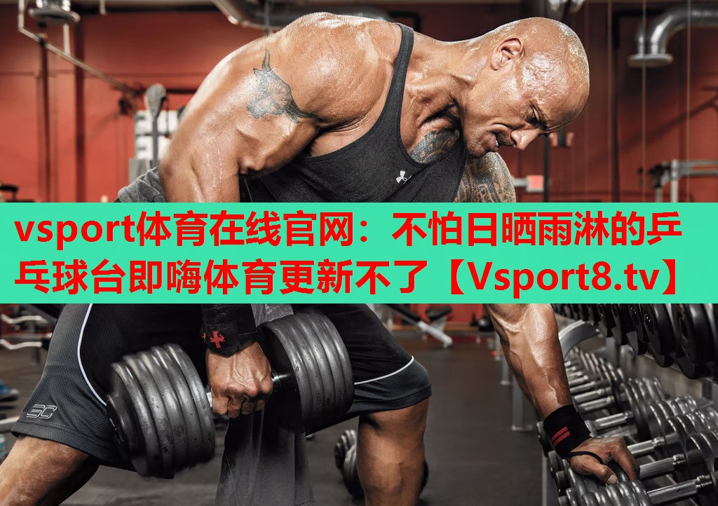 vsport體育在線官網：不怕日曬雨淋的乒乓球臺即嗨體育更新不了