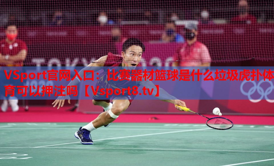 VSport官網(wǎng)入口：比賽器材籃球是什么垃圾虎撲體育可以押注嗎