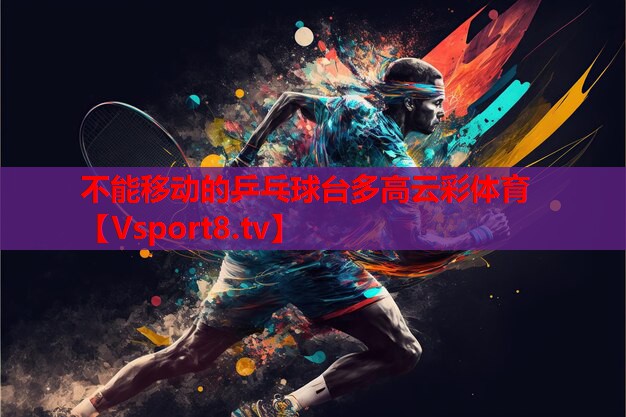 不能移動的乒乓球臺多高云彩體育