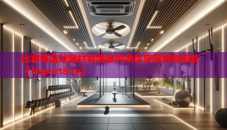 比賽用籃球器材有哪些種類體育用球有哪些