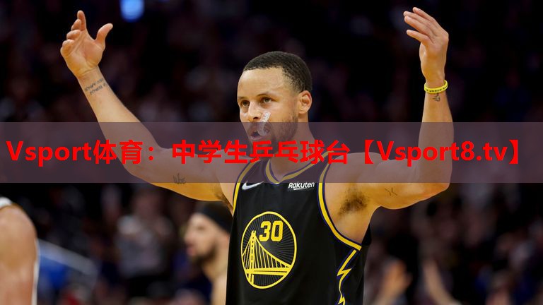 Vsport體育：中學(xué)生乒乓球臺(tái)