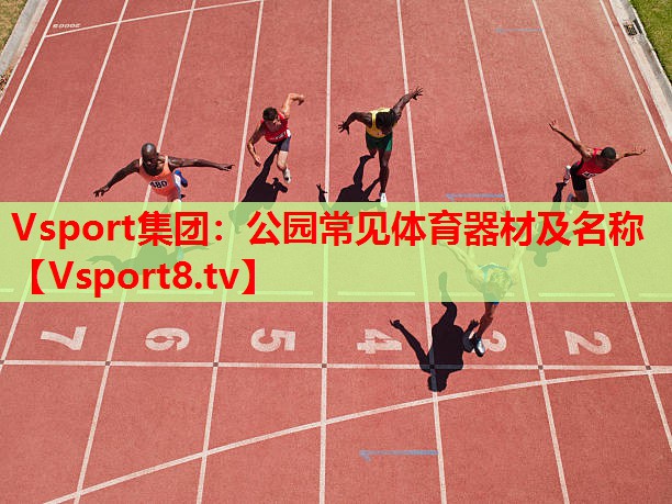 Vsport集團(tuán)：公園常見(jiàn)體育器材及名稱