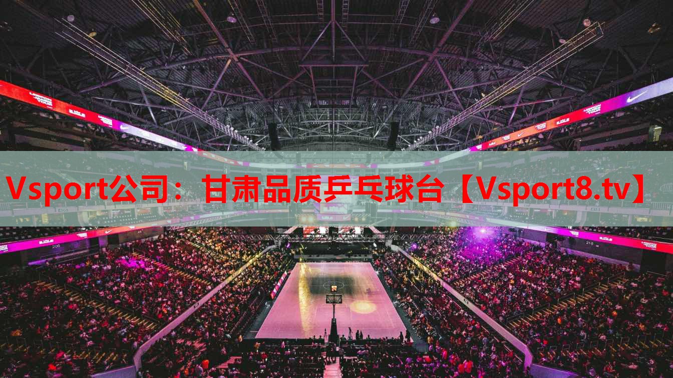 Vsport公司：甘肅品質乒乓球臺