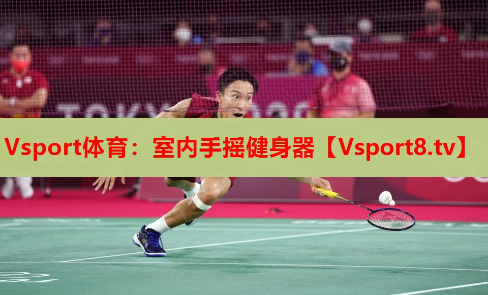 Vsport體育：室內(nèi)手搖健身器