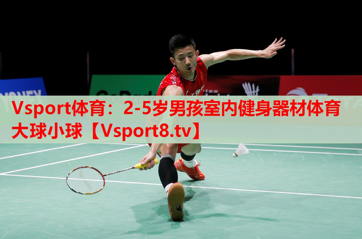 Vsport體育：2-5歲男孩室內(nèi)健身器材體育大球小球