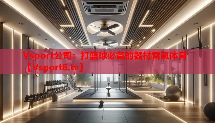 Vsport公司：打籃球必備的器材雷氪體育