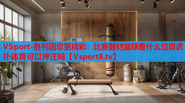 VSport-勝利因您更精彩：比賽器材籃球是什么垃圾虎撲體育可以押注嗎