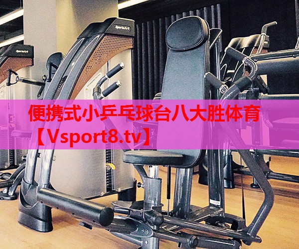 便攜式小乒乓球臺八大勝體育