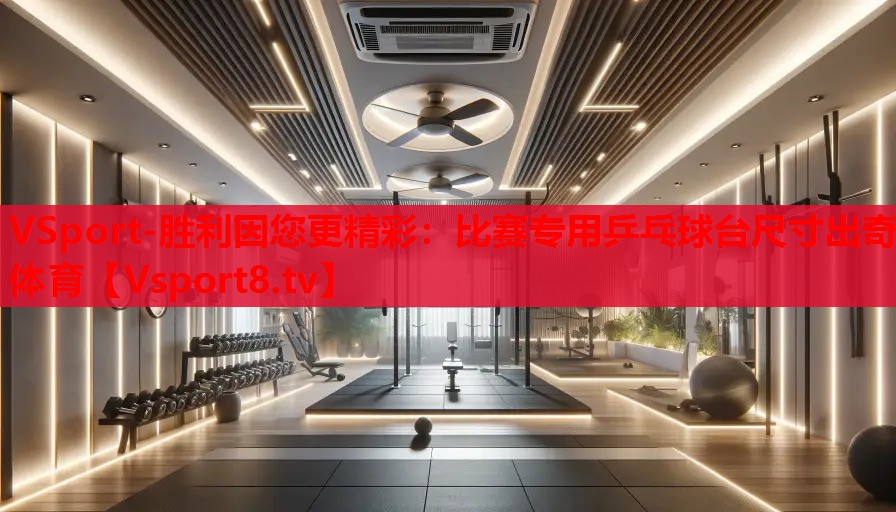 VSport-勝利因您更精彩：比賽專用乒乓球臺尺寸出奇體育