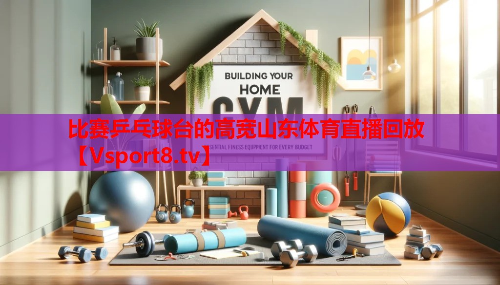 比賽乒乓球臺(tái)的高寬山東體育直播回放