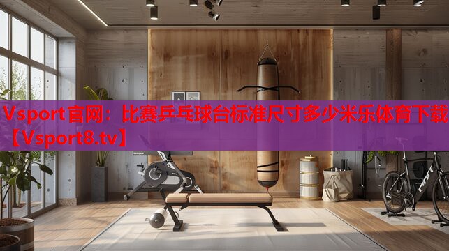 Vsport官網(wǎng)：比賽乒乓球臺(tái)標(biāo)準(zhǔn)尺寸多少米樂(lè)體育下載