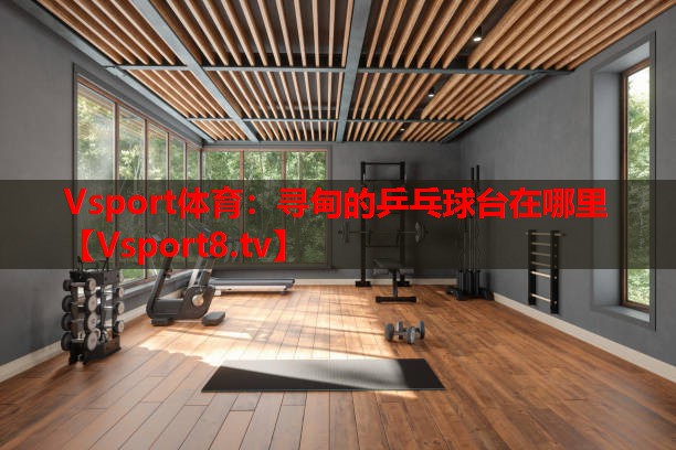 尋甸的乒乓球臺(tái)在哪里