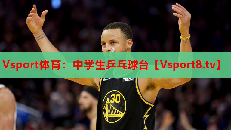中學(xué)生乒乓球臺