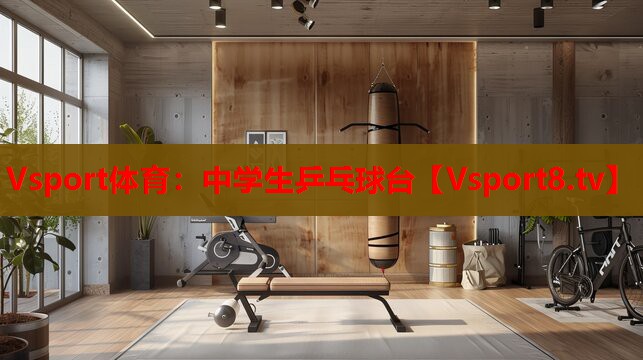 中學(xué)生乒乓球臺
