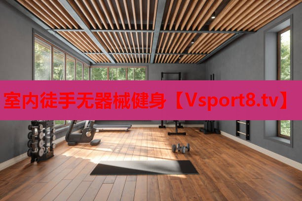 室內(nèi)徒手無器械健身
