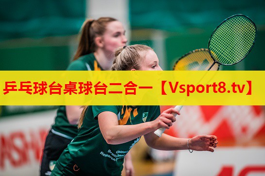 乒乓球臺(tái)桌球臺(tái)二合一